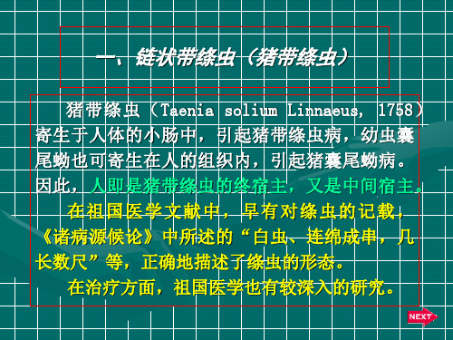 1、猪带绦虫ppt课件