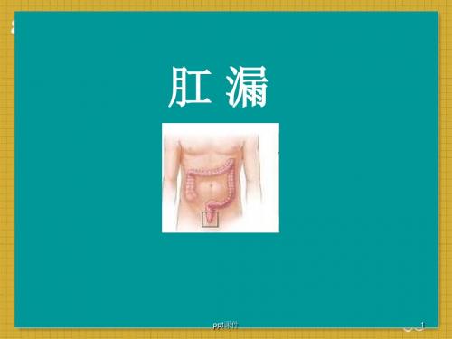 肛漏  ppt课件