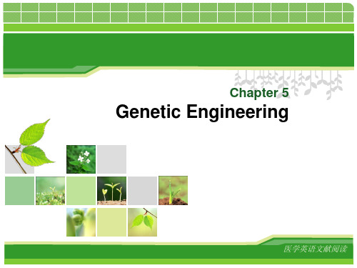 Genetic engineering基因工程