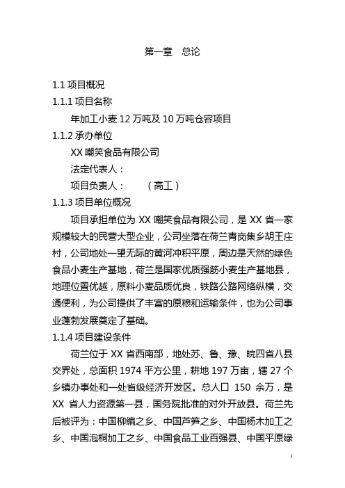 年加工小麦12万吨及10万吨仓容项目可行性研究报告