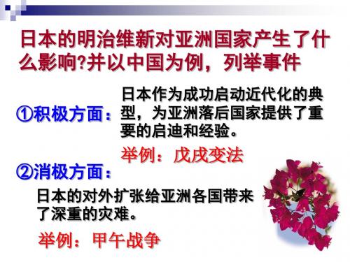 九、维新变法