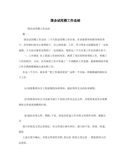 国企试用期工作总结