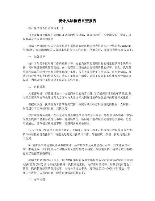 统计执法检查自查报告