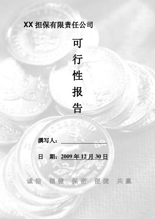 XX担保有限责任公司可行性报告