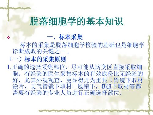 脱落细胞基础