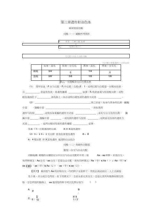 高中生物第三章遗传和染色体章末培优攻略学案苏教版必修