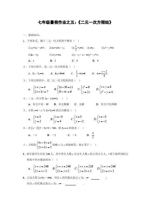 七年级数学暑假作业 二元一次方程组