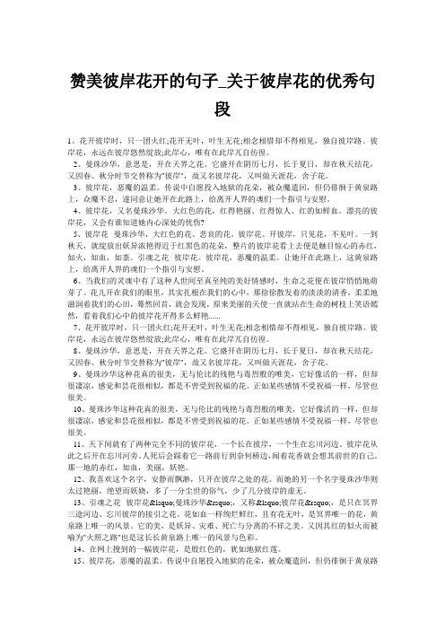 赞美彼岸花开的句子_关于彼岸花的优秀句段