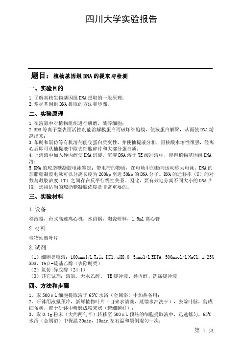 实验报告-植物基因组的提取和检测