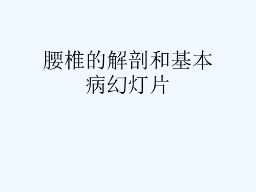 腰椎的解剖和基本病幻灯片