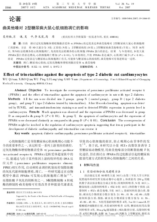 曲美他嗪对2型糖尿病大鼠心肌细胞凋亡的影响