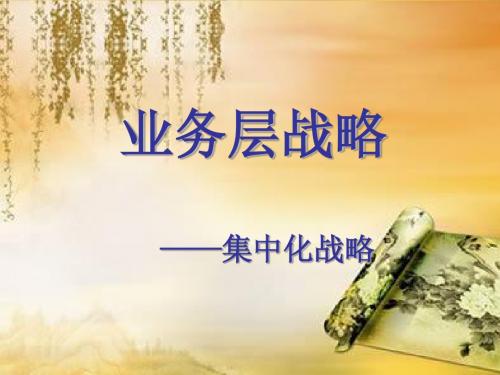 业务层战略_PPT