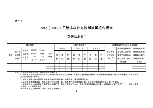 2016(2017)年碳排放补充数据核算报告模板数据汇总表