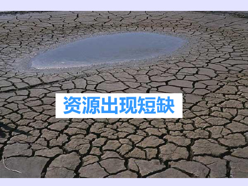 资源出现短缺PPT课件