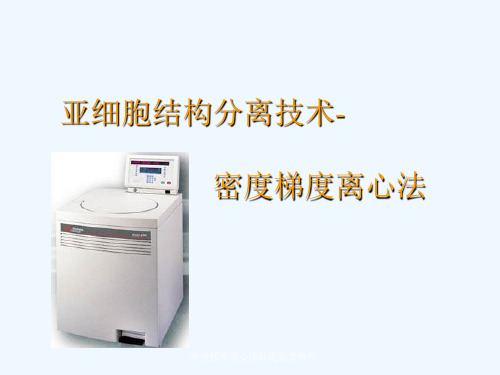 密度梯度离心法抽提脑突触体