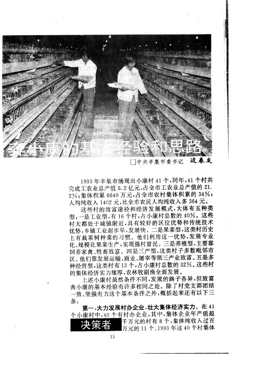 奔小康的基本经验和思路