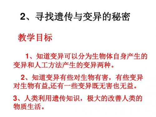 六年  寻找遗传与变异的秘密 (1)