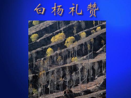 苏教版初中语文八年级下册《白杨礼赞》PPT课件