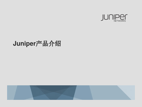 Juniper产品介绍-路由器交换机防火墙