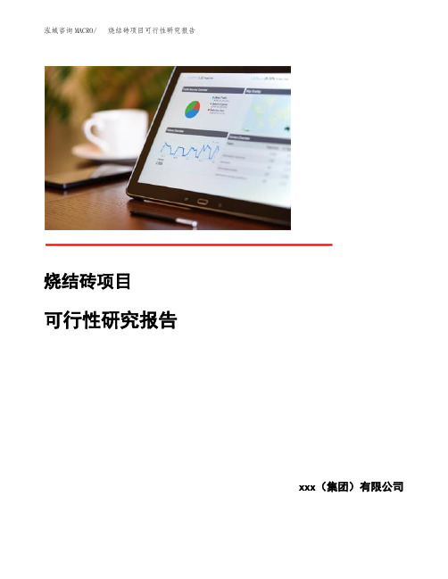 烧结砖项目可行性研究报告