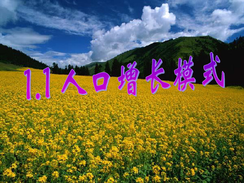 21.1人口增长模式