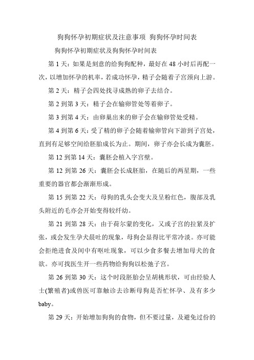 狗狗怀孕初期症状及注意事项 狗狗怀孕时间表