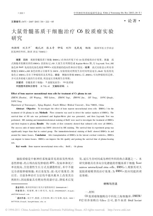 大鼠骨髓基质干细胞治疗C6胶质瘤实验研究_郑朝辉
