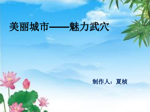 我的家乡黄冈武穴