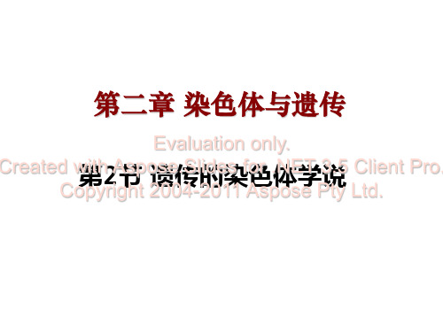 高中生物浙科必修二第二章第二节遗传的染色体学说