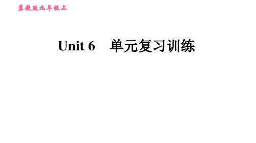 冀教版英语九年级上册单元复习训练 UNIT 6 单元复习训练