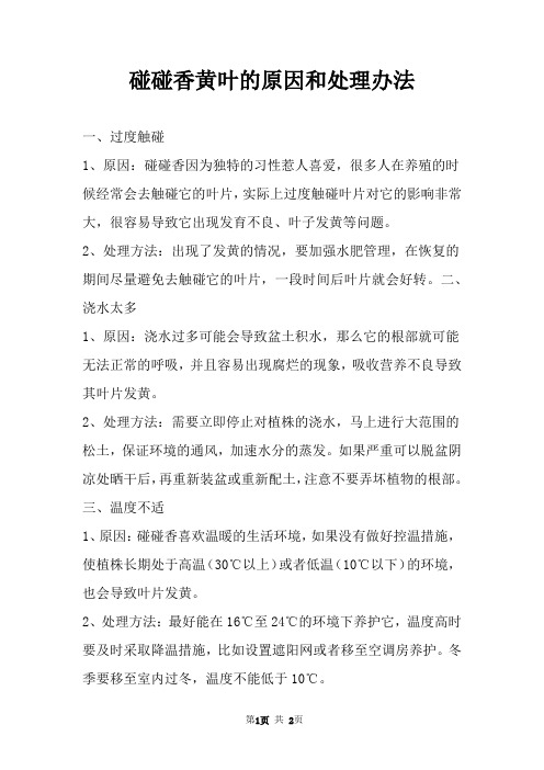 碰碰香黄叶的原因和处理办法 