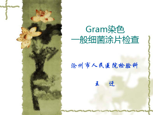 gram染色一般细菌涂片检查