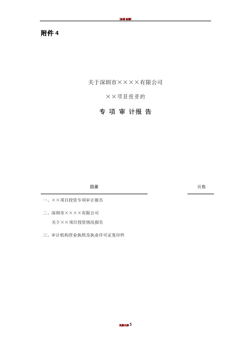 项目投资专项审计报告