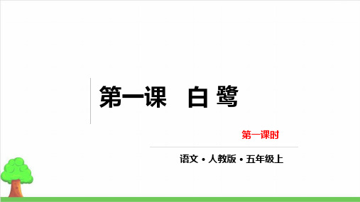 【部编版】五年级上册语文《白鹭》优质教学课件