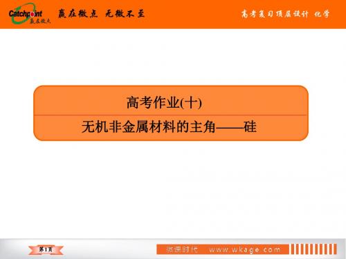 高2019届高2016级2019年5月赢在微点顶层设计高中化学总复习全套课件高考作业10