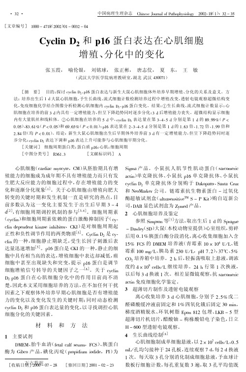 Cyclin+D2和p16蛋白表达在心肌细胞增殖、分化中的变化