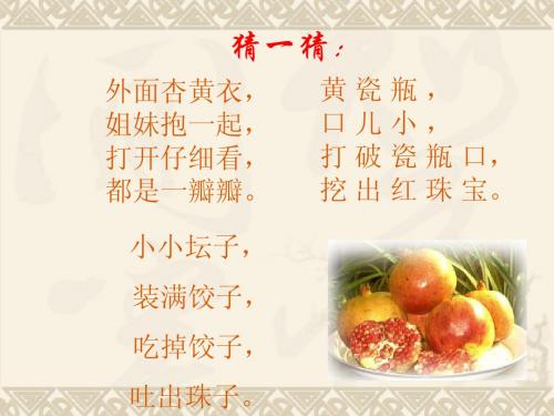 初一语文版《石榴》ppt课件