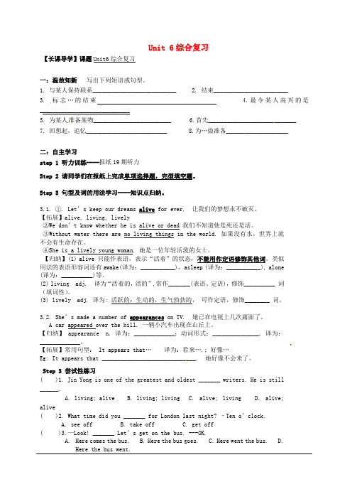 广东省河源中国教育学会中英文实验学校九年级英语下册 Unit 6综合复习讲学稿(无答案)(新版)仁爱版