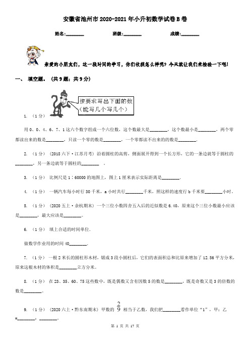 安徽省池州市2020-2021年小升初数学试卷B卷(新版)