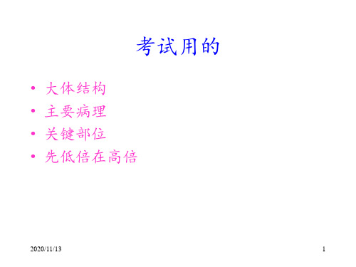 病理学实验复习切片 ppt课件