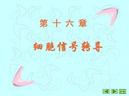 生化16 细胞信息转导
