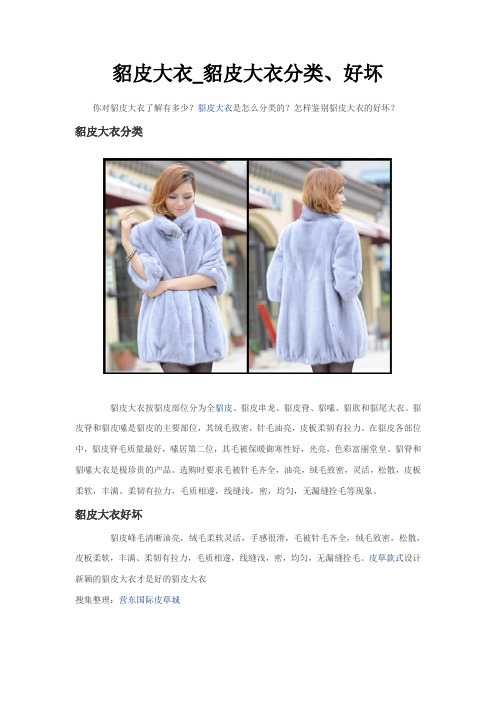 貂皮大衣基本知识