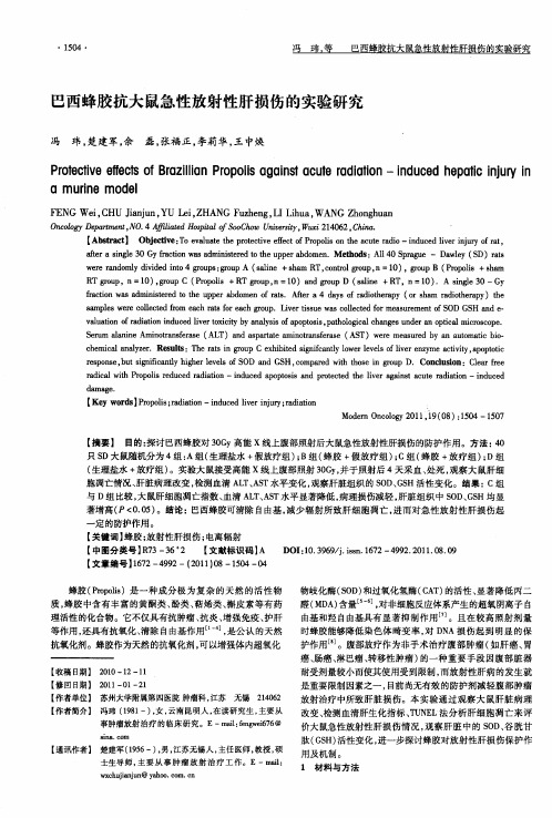 巴西蜂胶抗大鼠急性放射性肝损伤的实验研究