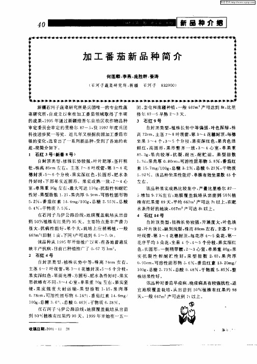 加工番茄新品种简介