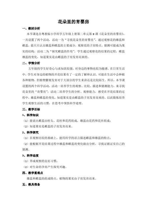 花朵里的育婴房