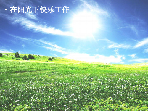 2019-2020年人教统编在阳光下快乐工作tp幻灯片