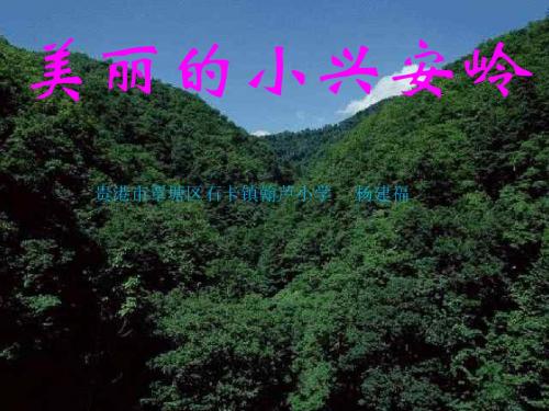 23 美丽的小兴安岭