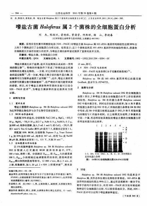 嗜盐古菌Haloferax属2个菌株的全细胞蛋白分析