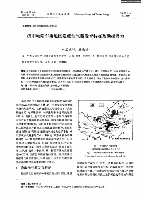 济阳坳陷车西地区隐蔽油气藏发育特征及勘探潜力