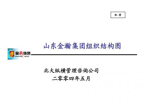 山东金瀚集团组织报告-最终版